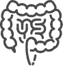 Intestines