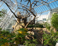 Cleveland Botanical Gardens