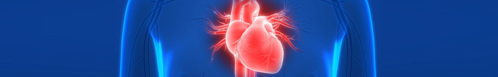 Cardiovascular Medical Education