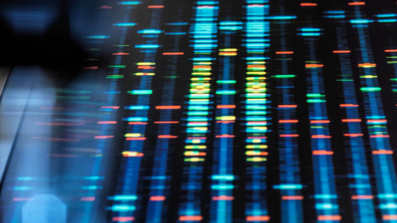dna