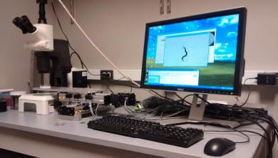 computer screen