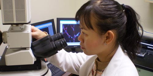 Neurology Resident Research