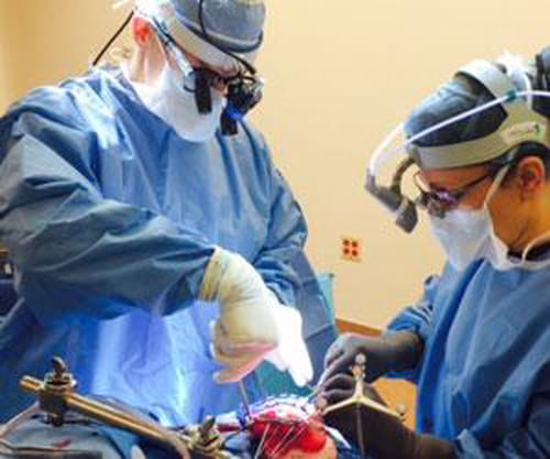 neurosurgeons