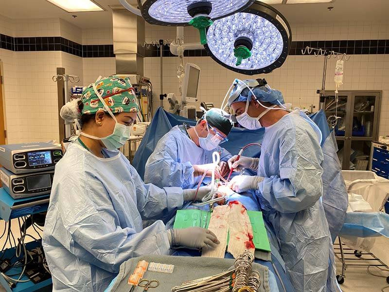 residents in surgery