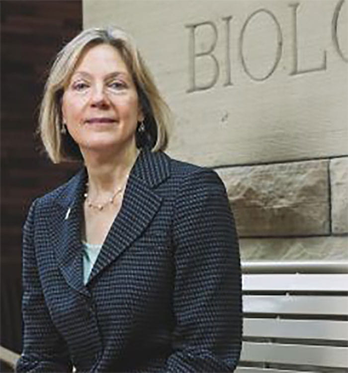 Lynn T, Singer, PhD
