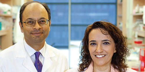 UH research teams provide hope for tomorrow’s cures