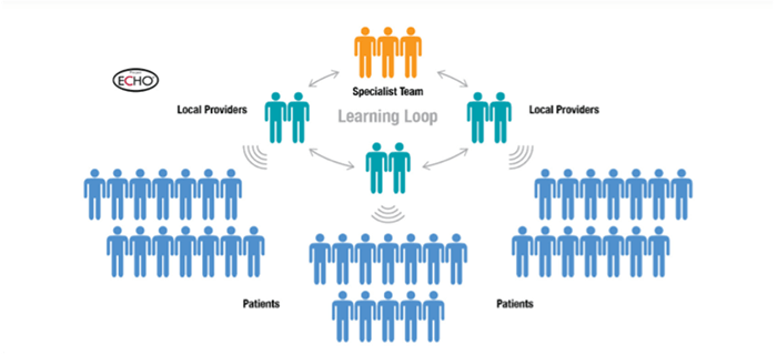Project ECHO diagram
