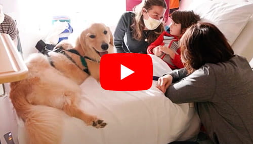 A UH Rainbow Pet Pal pays a visit to a young patient