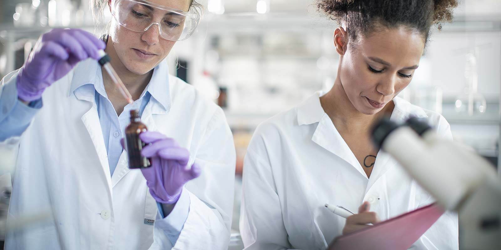 Scientist Working in The Laboratory