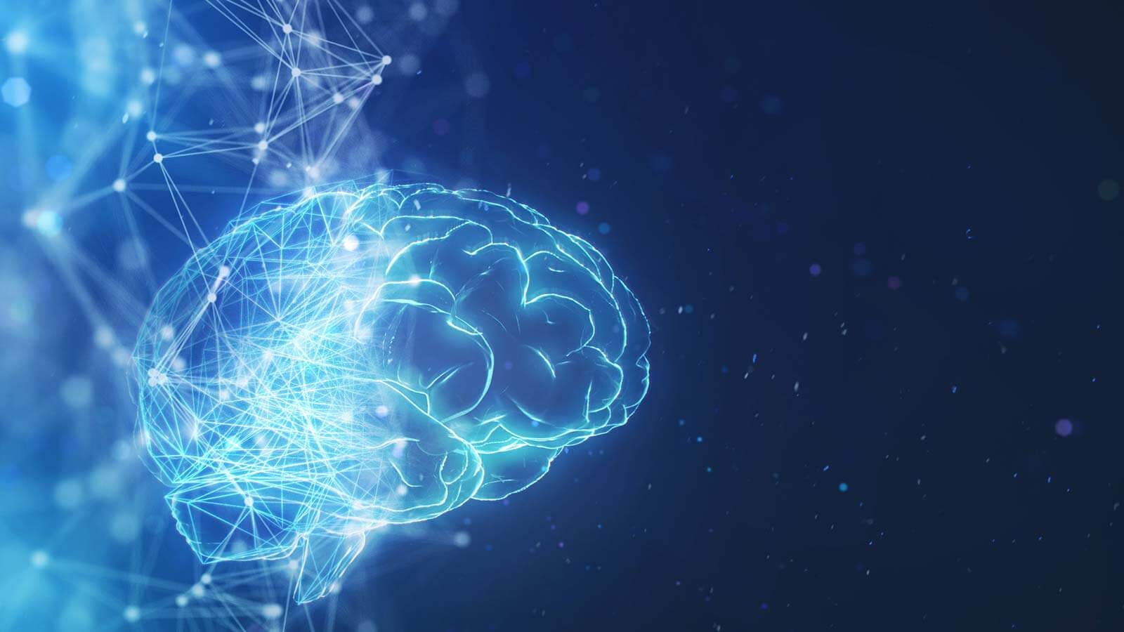 brain illustration