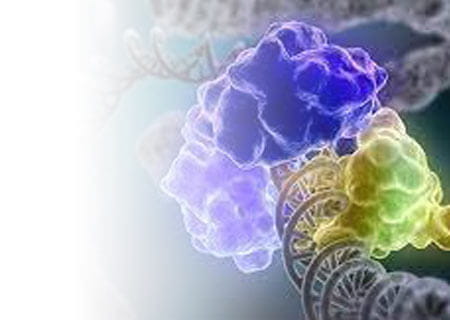 DNA repair