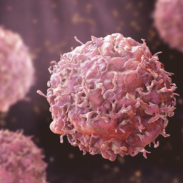 cancer cells