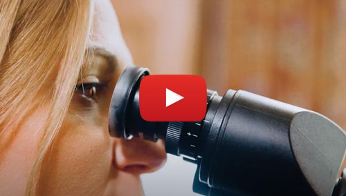 woman looking into a microscope
