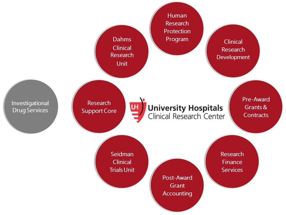 Research Org Chart 2024