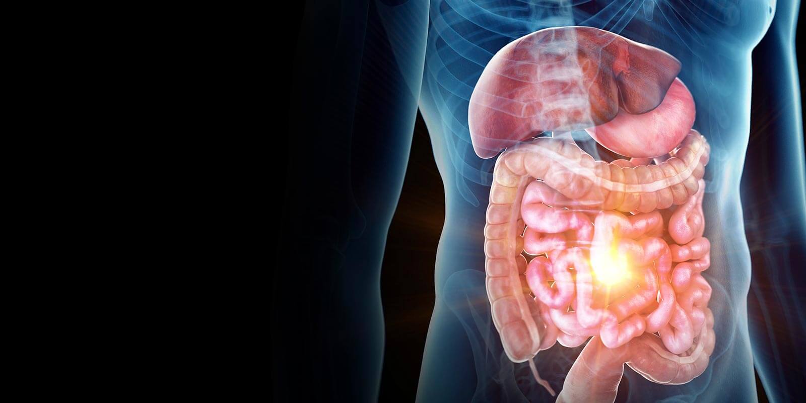 illustration of painful digestiverticale system
