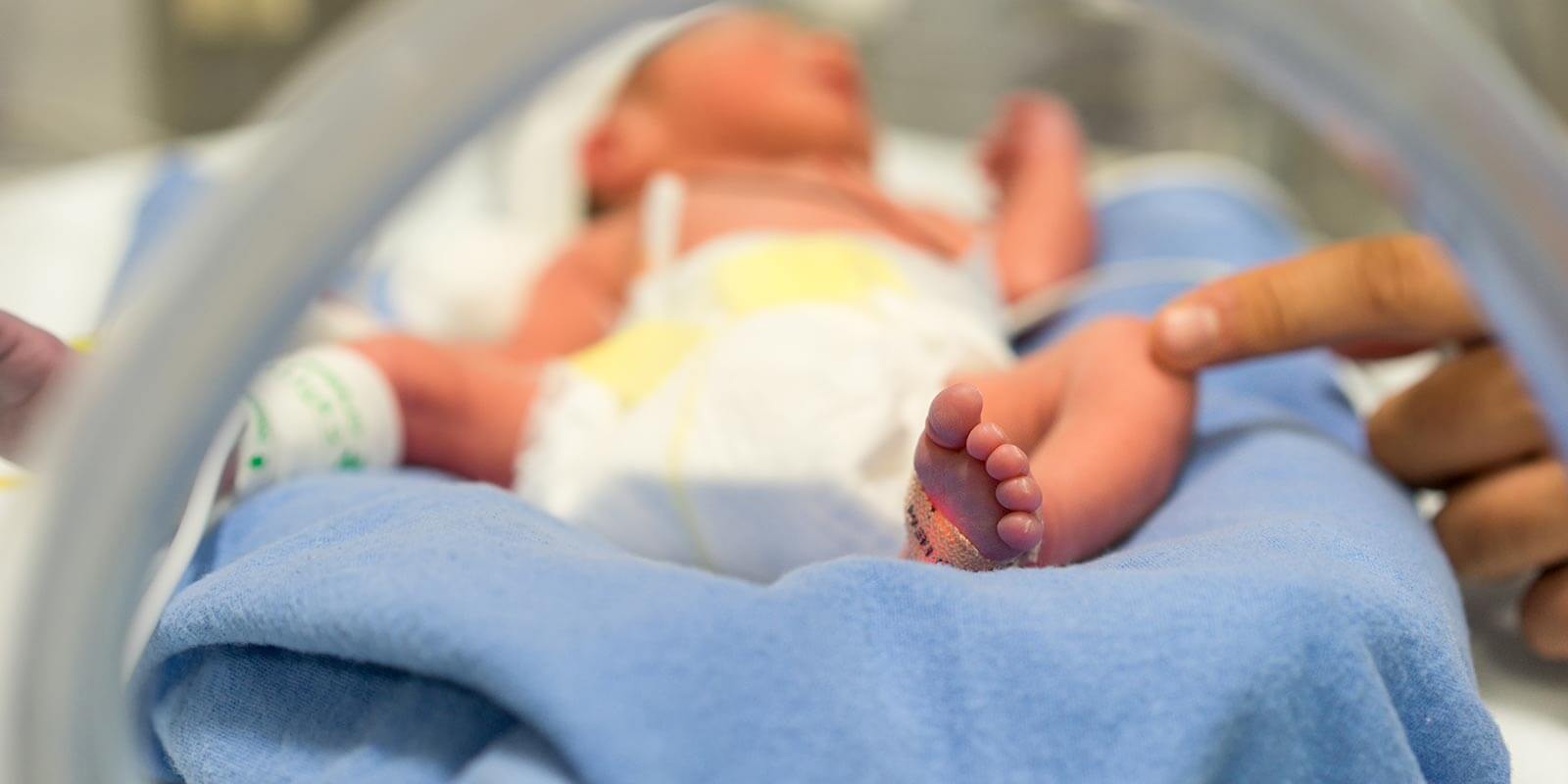 premie in nicu
