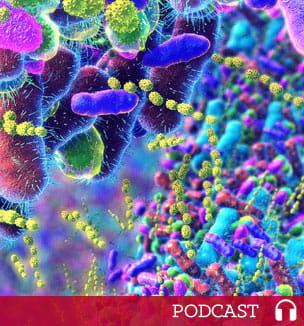 gut biome