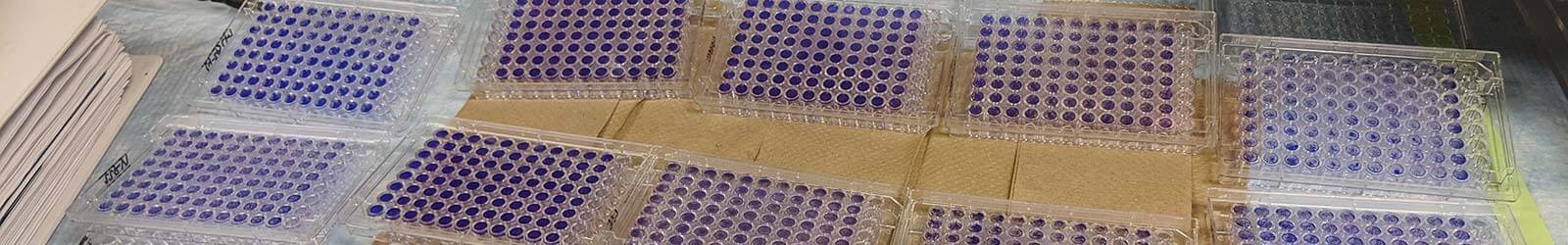 research lab