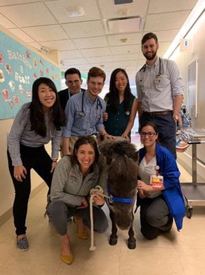 pediatric residents