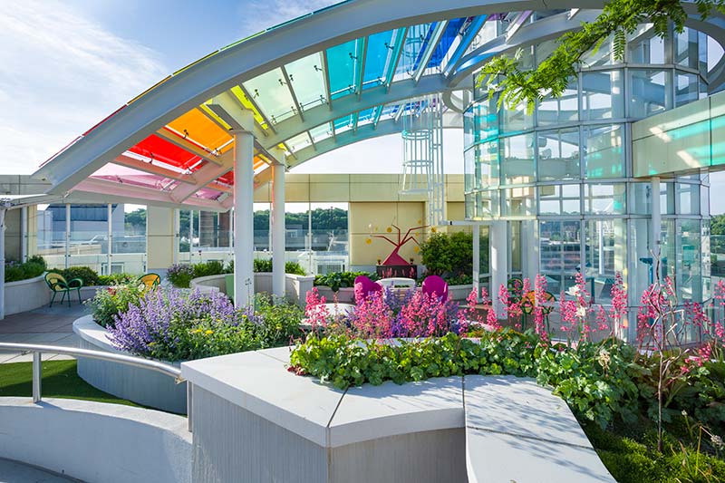 Rainbow Babies & Children’s Hospital Angies' Garden rainbow arch