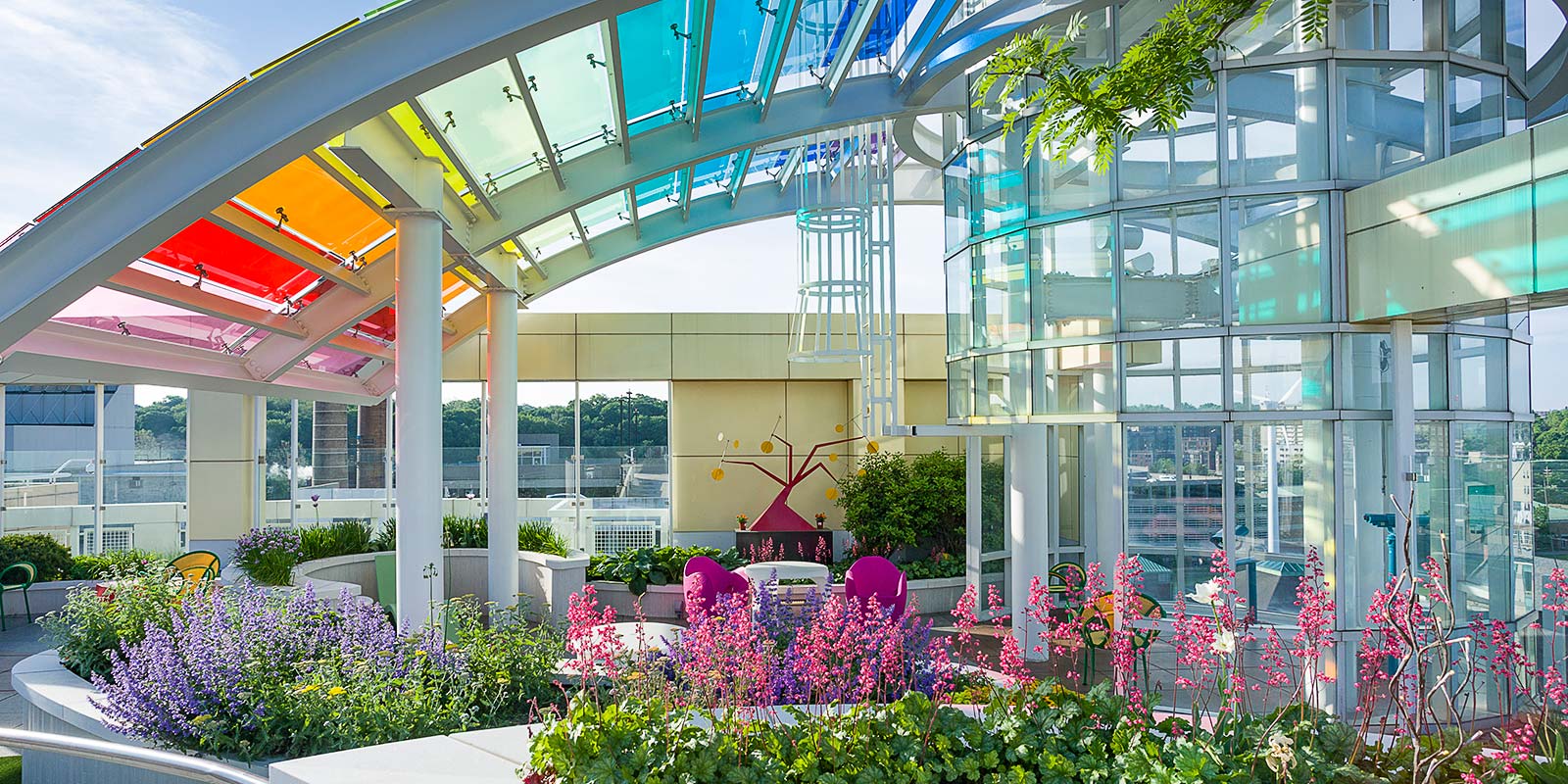 Angie's Rooftop Garden