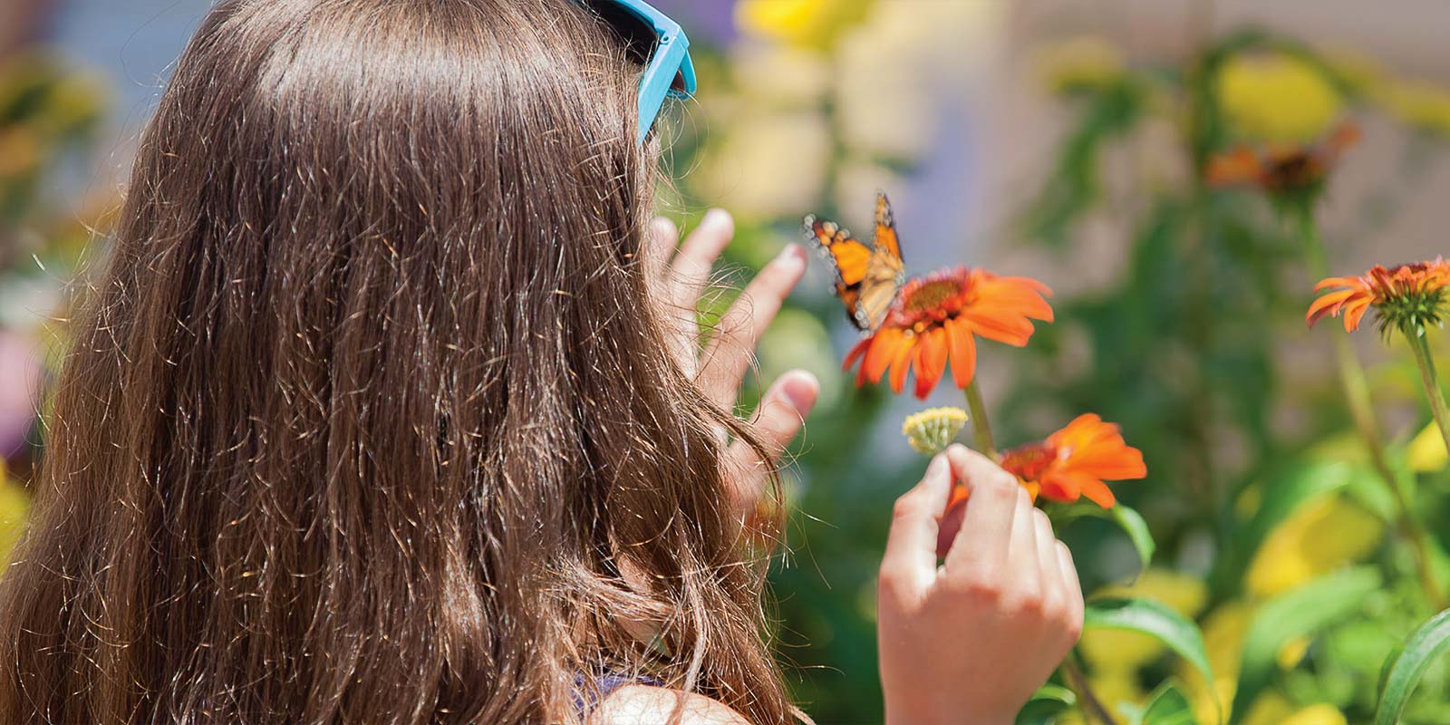 Young girl with butterfly perched on flower