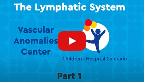 Click to watch The Lymphatic System video