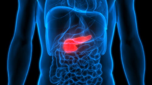 Pancreas Location