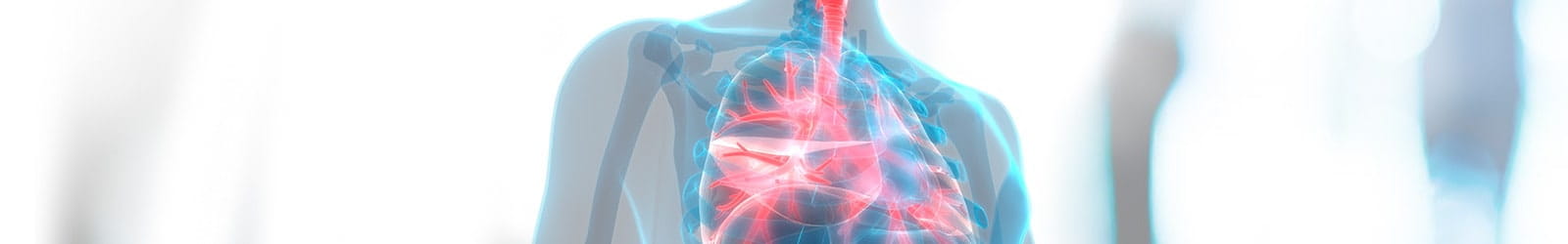 Medical illustration of Human Respiratory System.