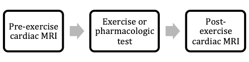 Flowchart describing steps in exercise cardiac MRIs