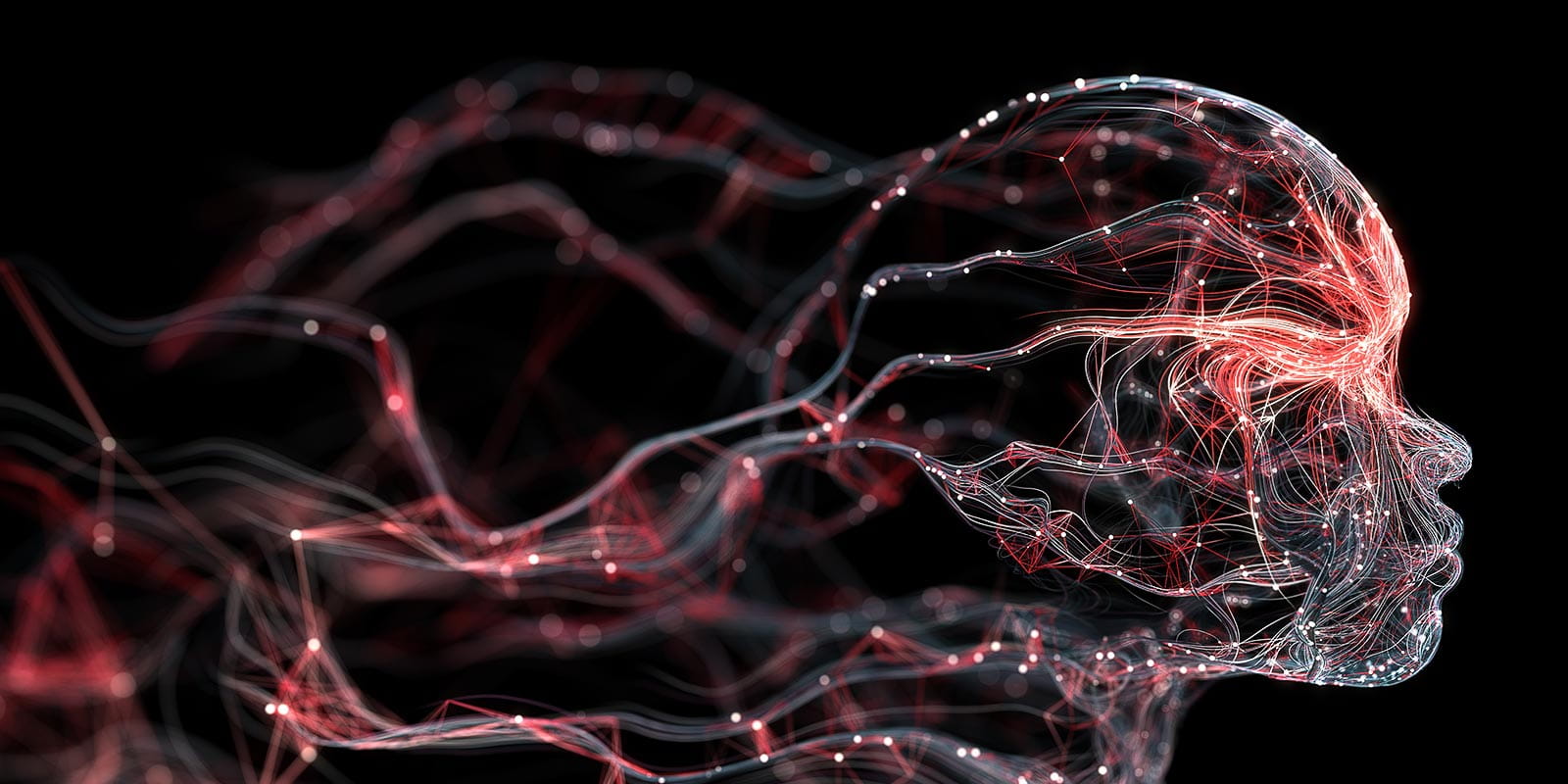 Illustration of the brain's neural connections