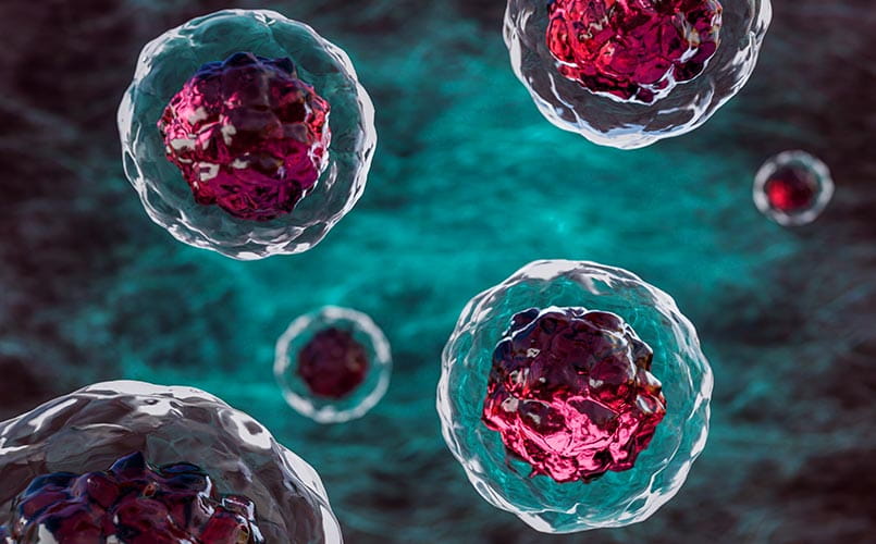Illustration of stem cells in the human body
