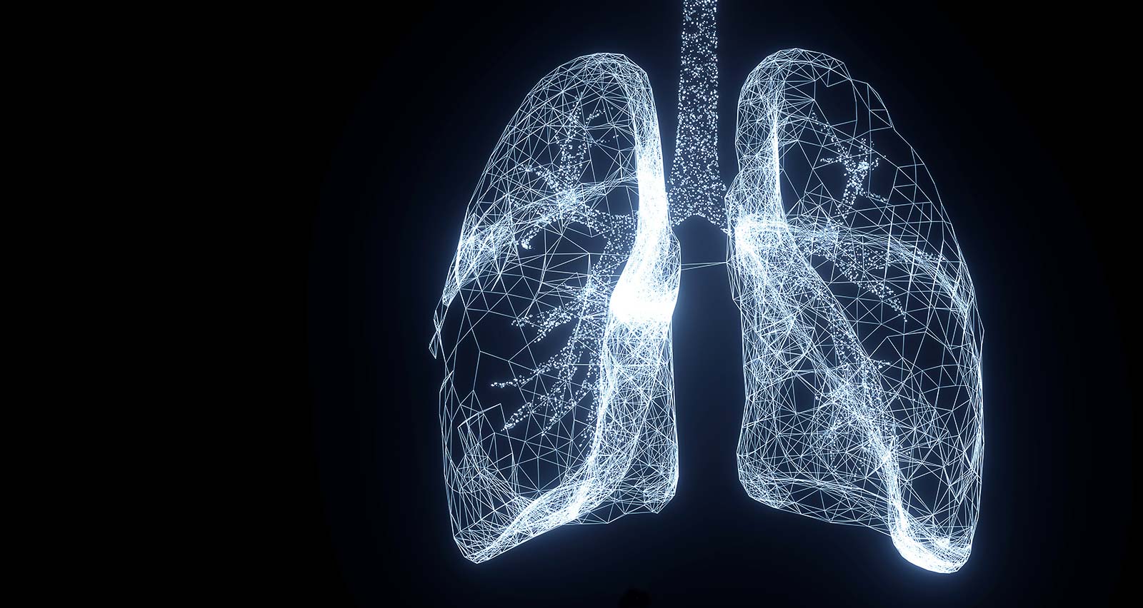 Illustration of a set of lungs