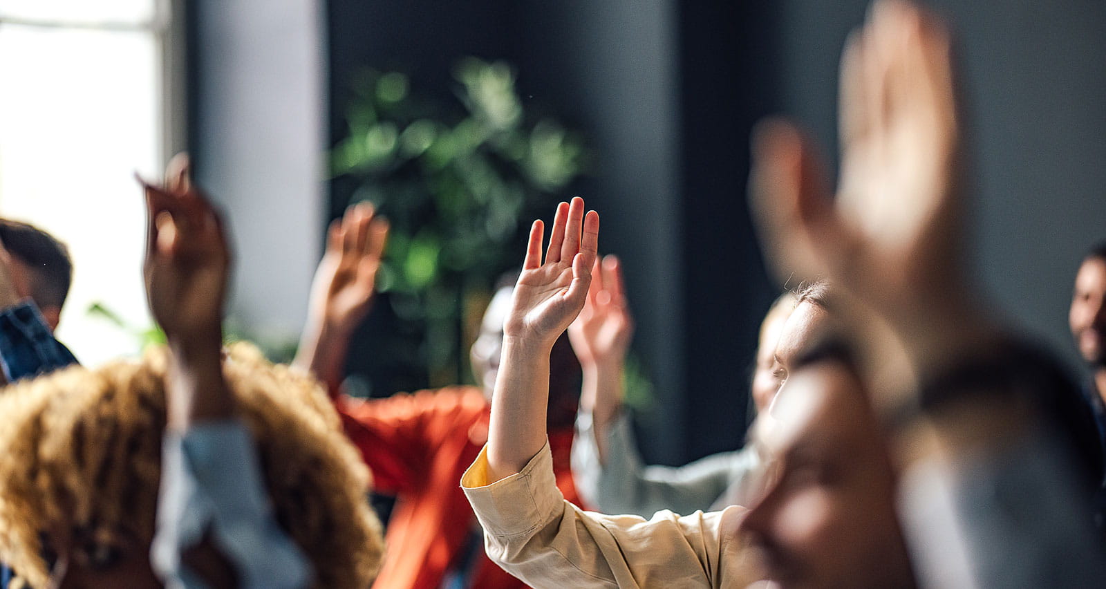 A group of college students raising their hands